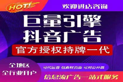 SEM推广代运营案例深度剖析